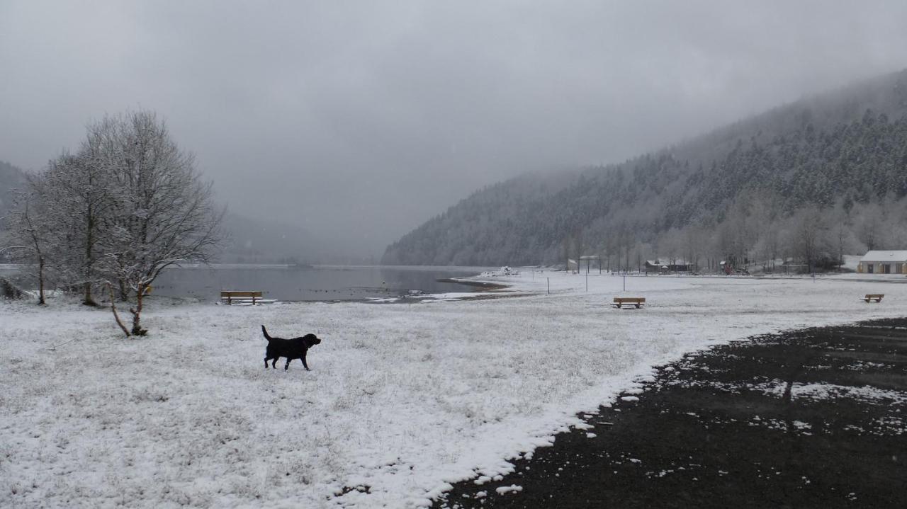 Gite Appartement Du Pays Des Lacs De Pierre Percee Celles-sur-Plaine Eksteriør billede